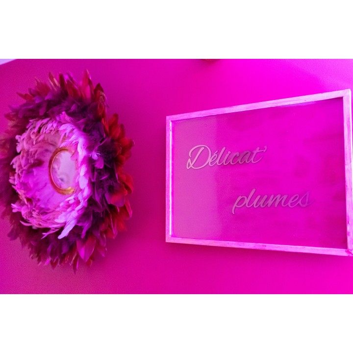 Galerie Photos